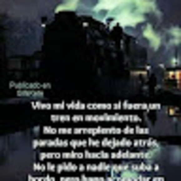salasarmando28